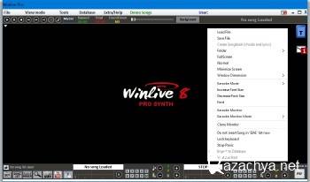 WinLive Pro Synth 8.0.03 ENG
