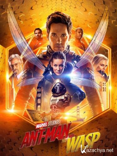 -   / Ant-Man and the Wasp (2018) WEBRip