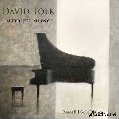 David Tolk - In Perfect Silence (2018)