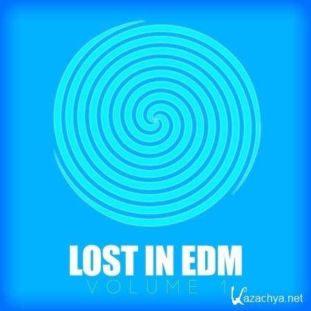 Andorfine - Lost in EDM (2018)