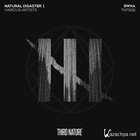 Natural Disaster 1 (2018)
