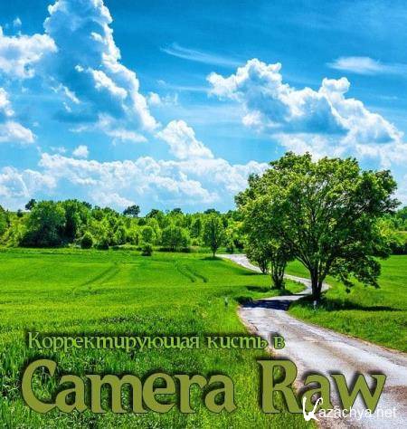   Camera Raw (2018) PCRec