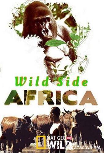   .   / Africa's Wild Side (2018) HDTV 1080i