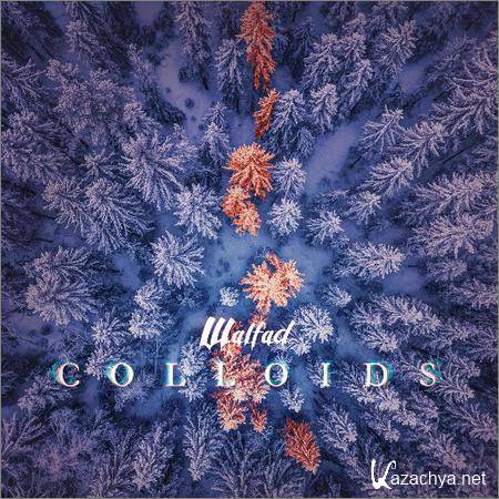 Walfad - Colloids (2018)