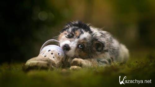 Wallpapers Mix №720 Wallpapers Mix №720