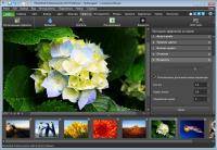 NCH PhotoPad Image Editor Pro 5.00 Portable (ML/RUS/2018)