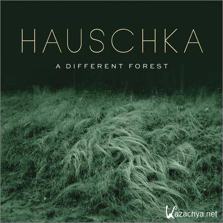 Hauschka - A Different Forest (2019)