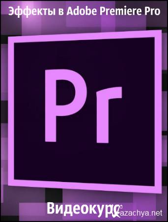   Adobe Premiere Pro (2019) 