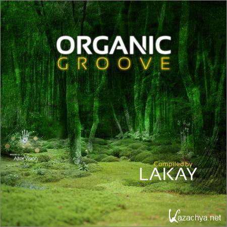 VA - Organic Groove (2019)