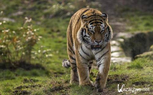 Wallpapers Mix �749