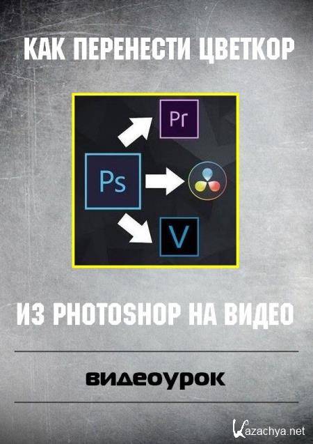    Photoshop   (2019) WEBRip