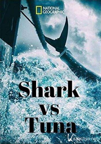    / Shark vs Tuna (2018) HDTV 1080i