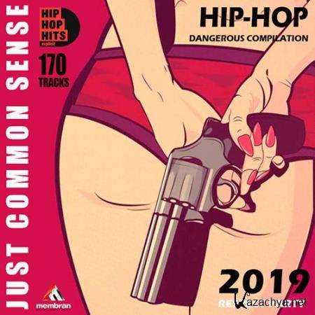 Just Common Sense: Hip Hop Dangeros (2019)