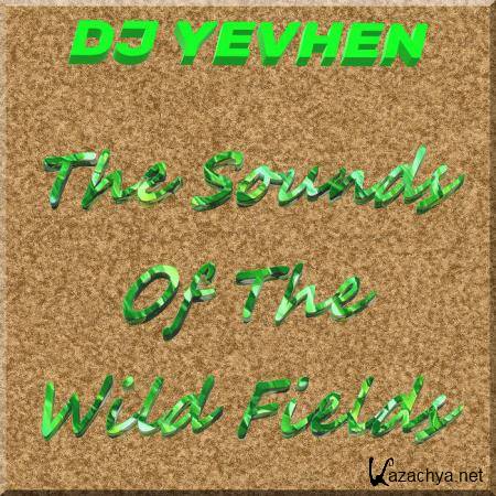 DJ YEVHEN - The Sounds Of The Wild Fields (LP) (2019)