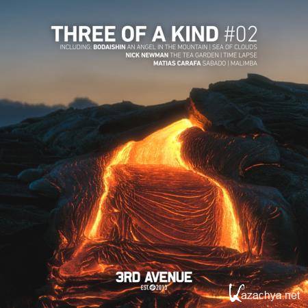 Nick Newman & Bodaishin & Matias Carafa - Three of a Kind #02 (2019)