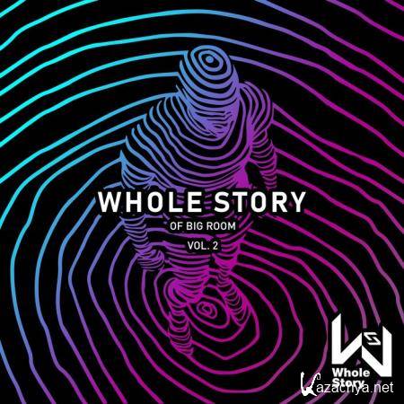 Whole Story Of Big Room Vol. 2 (2019)