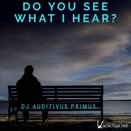 Dj Auditivus Primus - Do You See What I Hear? (2019)