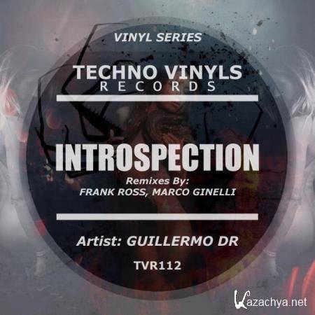 Guillermo DR - Introspection (2019)