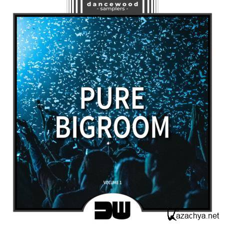 Pure Bigroom, Vol. 1 (2019)