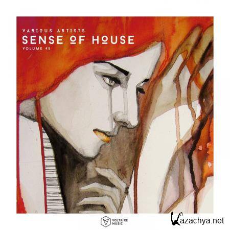 Sense Of House, Vol. 45 (2019)