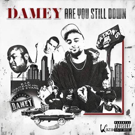 Damey - ARE YOU Still Down (2019)