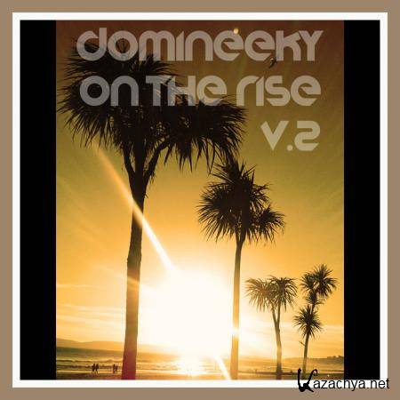 Domineeky - On The Rise V. 2 (2019)