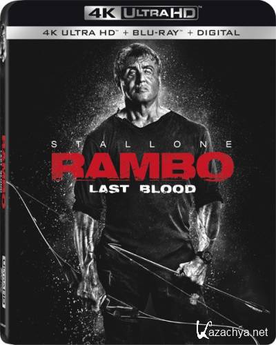 :   / Rambo: Last Blood (2019) HDRip / BDRip 720p / BDRip 1080p