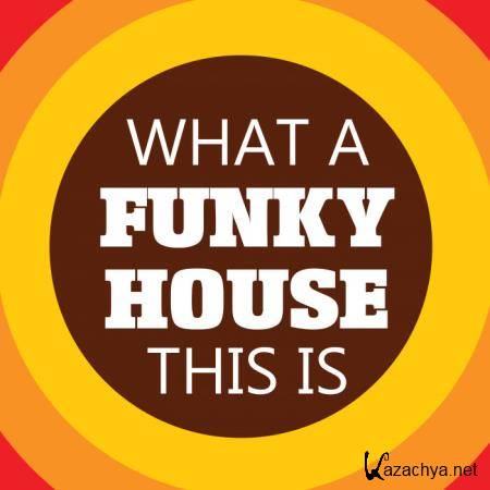 DJ Luciano - What A Funky House This is (2020)