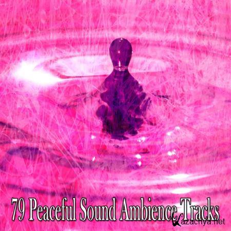 Zen Therapies - 79 Peaceful Sound Ambience Tracks (2020)