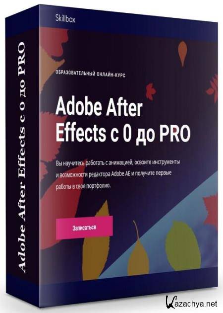 Adobe After Effects  0  PRO (2019) PCRec