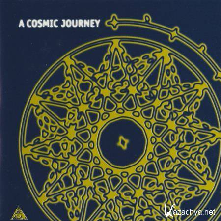 A Cosmic Journey (2020)