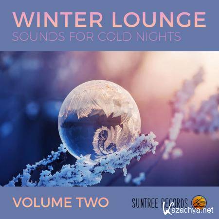 Winter Lounge Vol LL (2020)