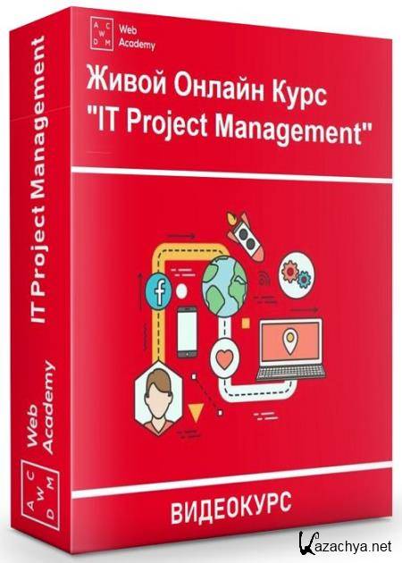 IT Project Management (2020) 