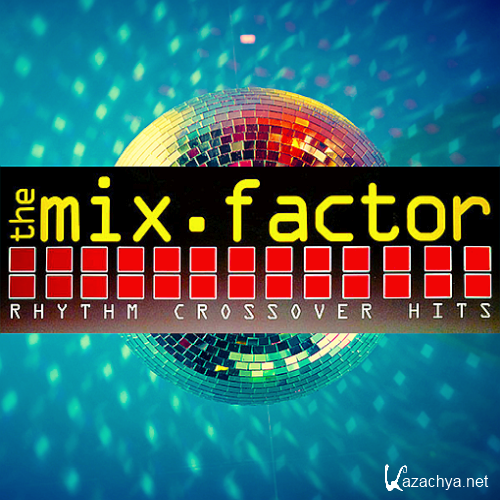 Mix Factor Volume 06-07 (Strictly Hits Vinyl Service Vinyl, Compilation, Remix Service)