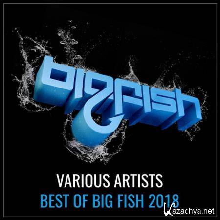 Best Of Big Fish 2018 (2019)