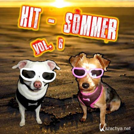 Hit-Sommer Vol. 6 (2020)