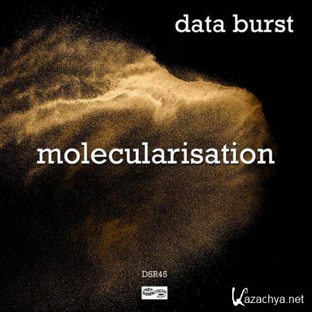 Data Burst - Molecularised (2020)