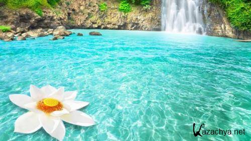 Wallpapers Mix №853 Wallpapers Mix №853