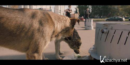   / Space Dogs (2019) WEB-DL 1080p