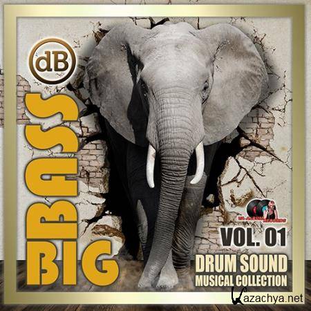 Big Bass: Drum Sound Musical Collection Vol.01 (2020)