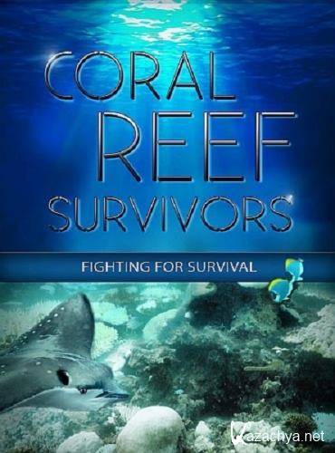     / Coral Reef Survivors (2019) HDTV 1080i