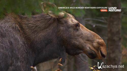   :   / Americas Wild Border: Northern Exposure (2020) UHDTV 2160p