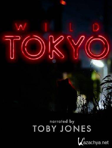 Дикий Токио / Wild Tokyo (2020) HDTV 1080i