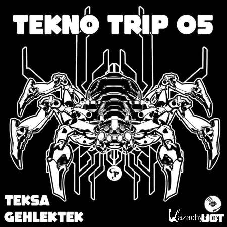 Teksa & Gehlektek - Tekno Trip 05 (2021)