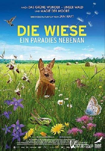 .   /  -     / Die Wiese - Ein Paradies nebenan (2019) HDTV 1080i