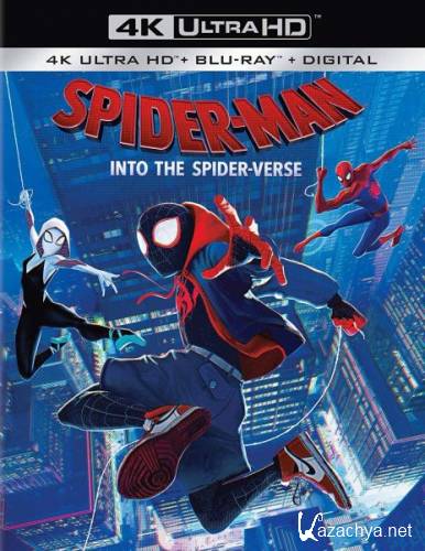 Человек-паук: Через вселенные / Spider-Man: Into the Spider-Verse (2018) HDRip/BDRip 720p/BDRip 1080p