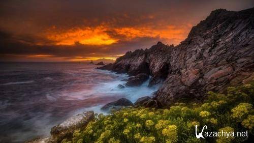 Wallpapers Mix �875