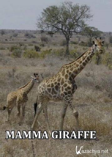 - / Mamma Giraffe (2020) DVB