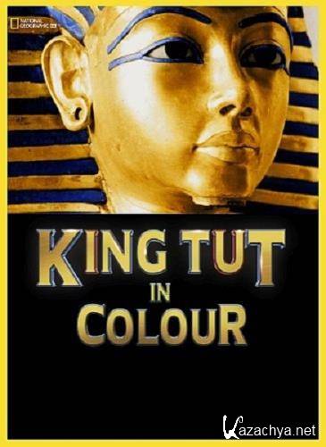 :   / King Tut In Colour (2020) HDTV 1080i