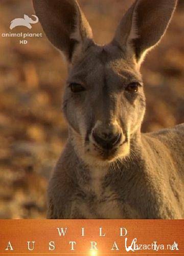   / Wild Australia (2011) HDTV 1080i